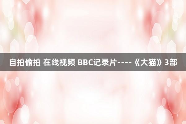 自拍偷拍 在线视频 BBC记录片----《大猫》3部