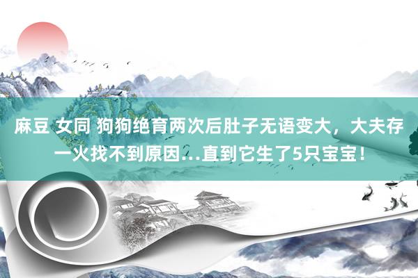 麻豆 女同 狗狗绝育两次后肚子无语变大，大夫存一火找不到原因…直到它生了5只宝宝！