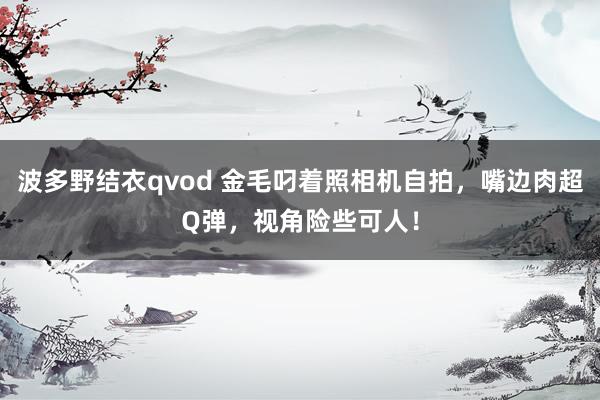 波多野结衣qvod 金毛叼着照相机自拍，嘴边肉超Q弹，视角险些可人！