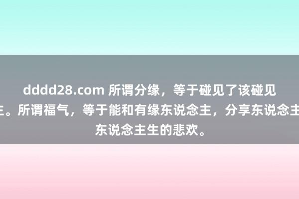 dddd28.com 所谓分缘，等于碰见了该碰见的东说念主。所谓福气，等于能和有缘东说念主，分享东说念主生的悲欢。