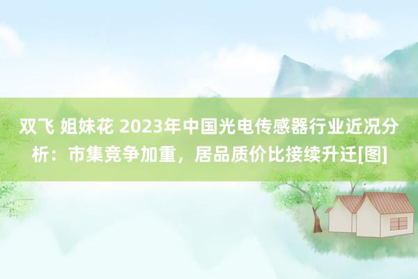 双飞 姐妹花 2023年中国光电传感器行业近况分析：市集竞争加重，居品质价比接续升迁[图]